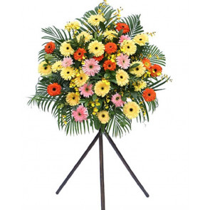 Düğüne Renkli Gerbera Ferforjesi