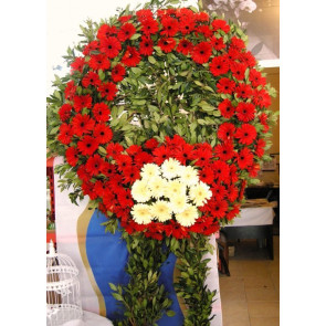 Kırmızı Beyaz Gerbera'dan Hazırlanmış Cenaze Çiçekleri