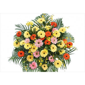 Düğüne Renkli Gerbera Ferforjesi