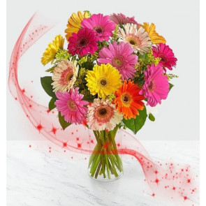 "Gökkuşağı" Rengarenk 15 Gerbera