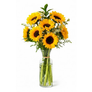 Ay Çiçeği Helianthus Günebakan Çiçeği