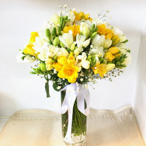 Renkli Kokulu Frezya Bahçem