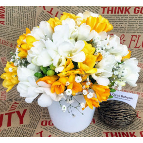 Yazın Müjdecisi Kokulu Firezya