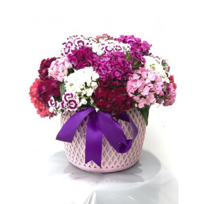 Taş El Yapımı Özel Vazoda Hüsnü Yusuf Çiçeği