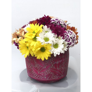 "Masal" Karışık Kır Çiçekleri