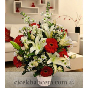 Kırmızı Gerbera ve Beyaz Gül, Lilyum Aranjmanı 