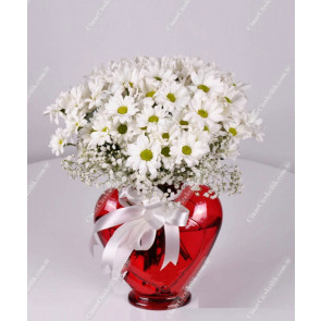 Beyaz Kır Çiçekleri, Çiçek Gönderme 