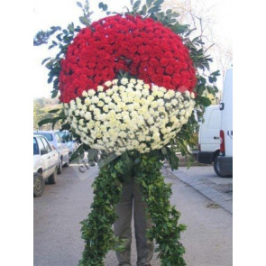 Kırmızı ve Beyaz Karanfil Kullanılarak Hazırlanmış Cenaze Çelenkleri