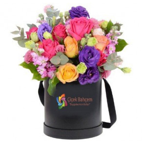 Kutu İçinde Mevsim Çiçekleri