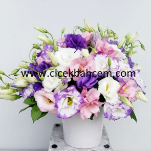 Lisyantus Büyülü Renkleri