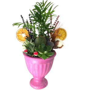 New Design İdeas Sukulent Aranjmanı- Çiçek Bahçem