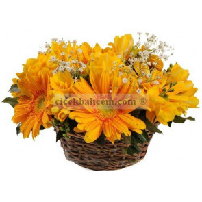Örme Sepet İçine Sarı Gerbera ve Kır Çiçeklerinden Aranjman 