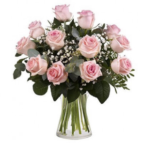 11 Adet Pembe Zerafet