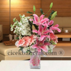 Pembe Gerbera,Lilyum ve Beyaz Şebboy Aranjmanı