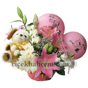 Pembe Gerbera ve Kokulu Lilyum, Hoşgeldin Bebek