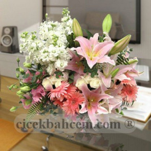 Pembe Lilyum,Gerbera ve Beyaz Şebboy Arajmanı