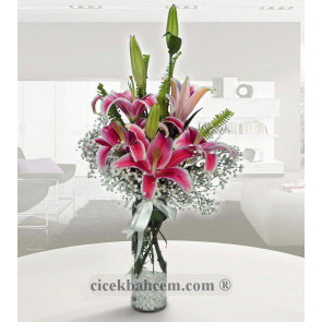 Pembe Rüya Kokulu Pembe Lilyumlar