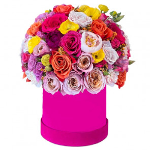 Radiant and Refined Elegance