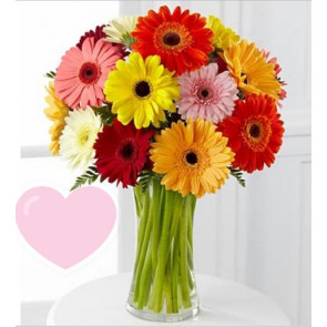 Renklerin Dansı Renkli Gerbera Papatya Aranjmanı