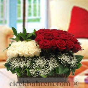 Sandıkta Kırmızı Beyaz Gül Aranjmanı