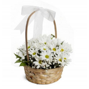 Graceful White Chrysanthemum Arrangement