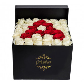 Kutu İçinde Harf Kırmızı Gül