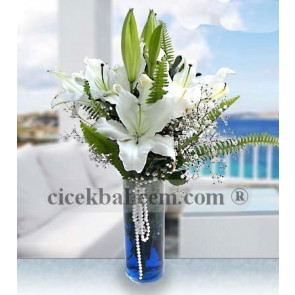 Vazoda Mis Beyaz Kokulu Lilyum 