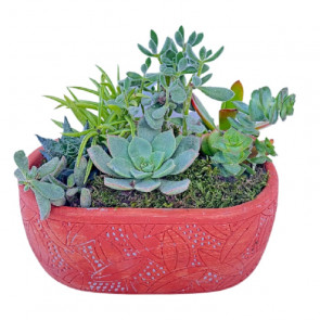 Sukulent Tasarım Harikası