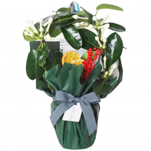 Antico Yasemin Çiçeği Dekoratif Şık Vazoda