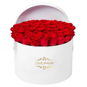 Beyaz Yuvarlak Kutuda 35 Kırmızı Gül