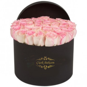 Siyah Yuvarlak Kutu İçinde 33 Adet Yavruağzı Gül