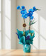 Mavi Orkide ® Blue Orkide