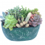 Cennet Bahçesi Sukulent Aranjmanı