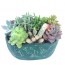 Cennet Bahçesi Sukulent Aranjmanı