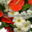 Kokulu Şebooy, Gerbera ve Antorium Aranjmanı