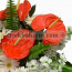 Kokulu Şebooy, Gerbera ve Antorium Aranjmanı