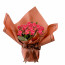Kalanchoe Tanzimi