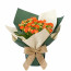 Sukulent Kalanchoe