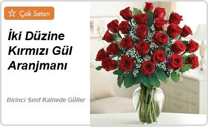 Elegant 27 Kırmızı G&uuml;l