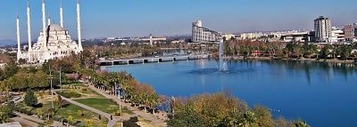 Adana &Ccedil;i&ccedil;ek Siparişi