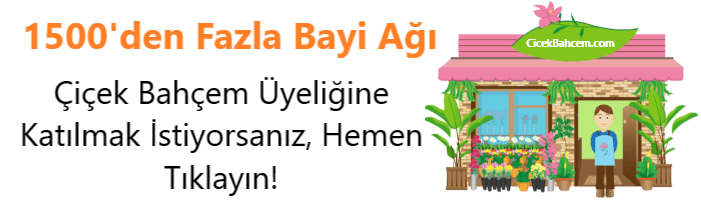 1500'den Fazla Bayi Ağı