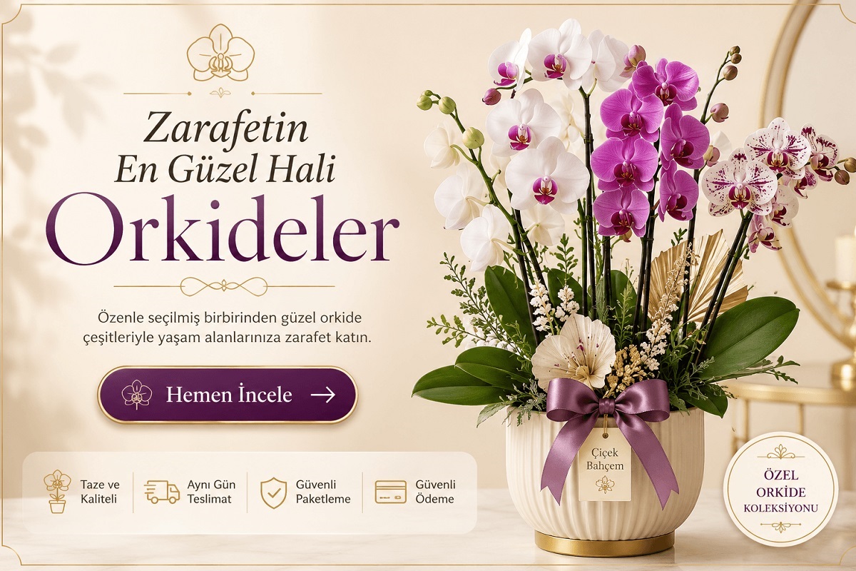 Orkide &ccedil;eşitleri